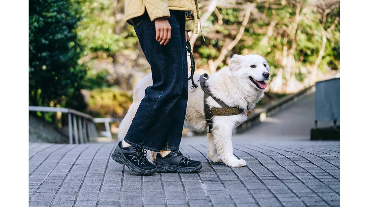 メレル「ヨコタ3 GORE-TEX」が街と山を両立する理由